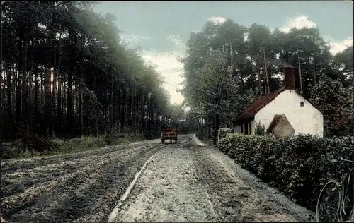 Ak Ginneken en Bavel Nordbrabant, Aan den Boschrand