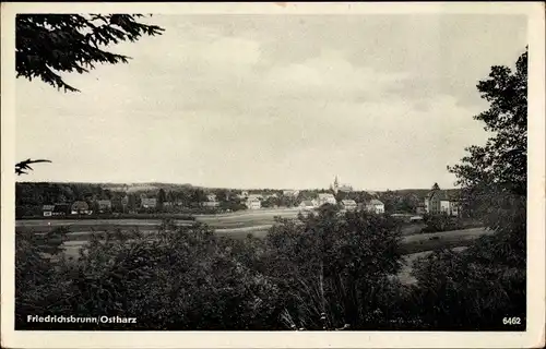 Ak Friedrichsbrunn Thale im Harz, Panorama