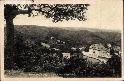 Ak Gernrode Quedlinburg im Harz, Blick ins Hagental