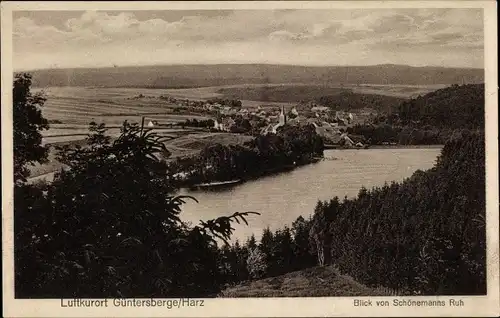 Ak Güntersberge Harzgerode am Harz, Blick von Schönemanns Ruh