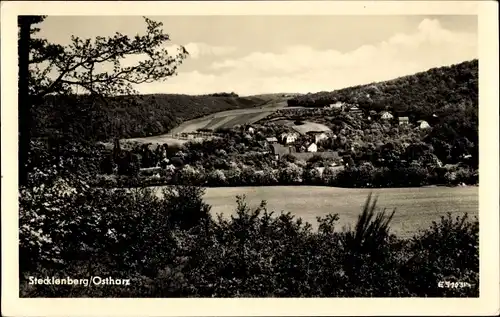 Ak Stecklenberg Thale im Harz, Panorama