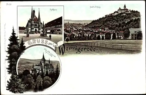 Litho Wernigerode im Harz, Schloss, Rathaus, Panorama