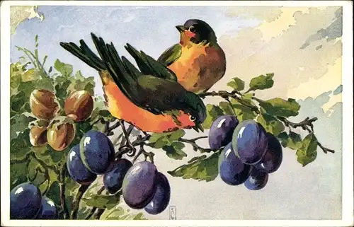 Künstler Ak Cerneho, P., Vögel am Baum, Obstbaum, Pflaumen