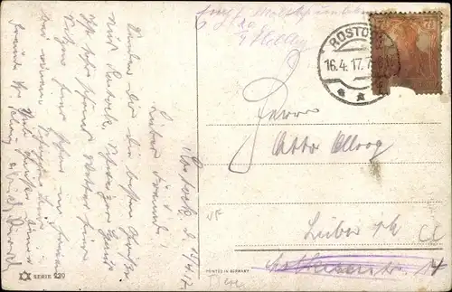 Künstler Ak Donadini, A. E., Truthuhn und Junge, Birken, Getreide