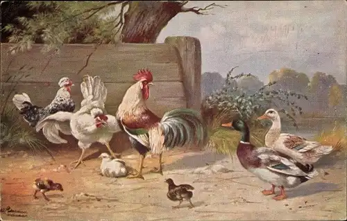 Künstler Ak Schönian, Ansicht von Hühnern und Enten, Küken
