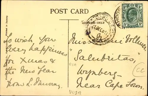 Ak An Ostrich Nest and Eggs, Strauß, Nest, Eier, Vogelnest