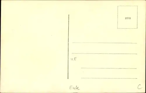 Foto Ak Weiße Enten am Teich