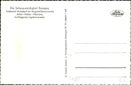 Ak Jagdfalke, Falkenhof Walddorf