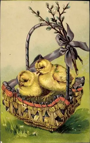 Ak Küken im Korb, Weidenkätzchen, Ostern