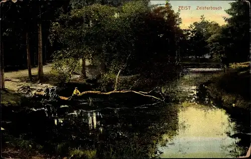 Ak Zeist Utrecht Niederlande, Zeisterbosch