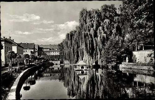 Ak Bischofswerda in Sachsen, Am Mühlteich