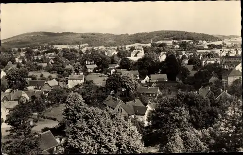 Ak Neukirch in der Lausitz, Panorama