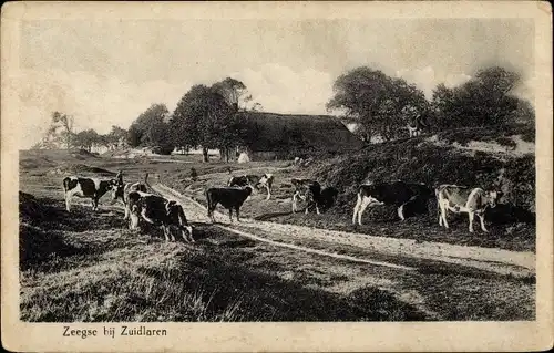 Ak Zuidlaren Drenthe Niederlande, Zeegse, Hotel van Ess, Kühe