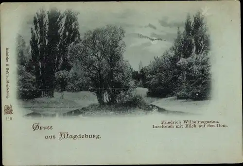 Mondschein Ak Magdeburg an der Elbe, Friedrich Wilhelmsgarten, Inselteich mit Blick auf den Dom