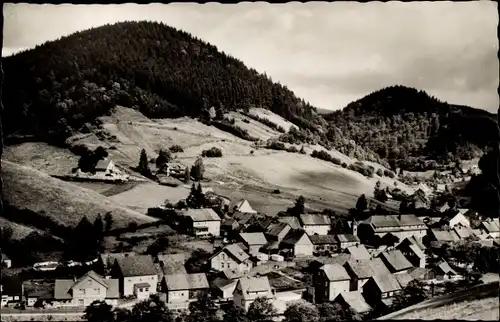 Ak Sieber Herzberg am Harz, Panorama