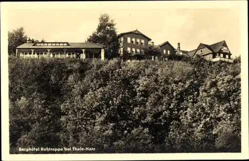 Ak Thale im Harz, Roßtrappe, Berghotel