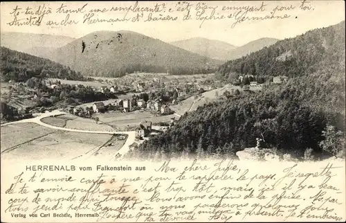 Ak Bad Herrenalb im Schwarzwald, Blick vom Falkenstein aus