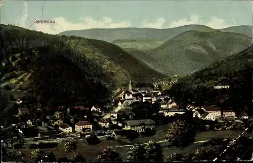 Ak Oppenau im Schwarzwald, Panorama