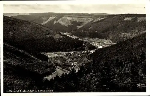 Ak Calmbach Bad Wildbad im Schwarzwald, Panorama