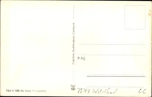 Ak Calmbach Bad Wildbad im Schwarzwald, Panorama