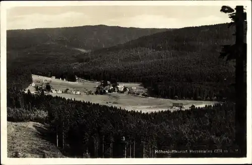 Ak Herrenwies Forbach im Schwarzwald Baden, Panorama