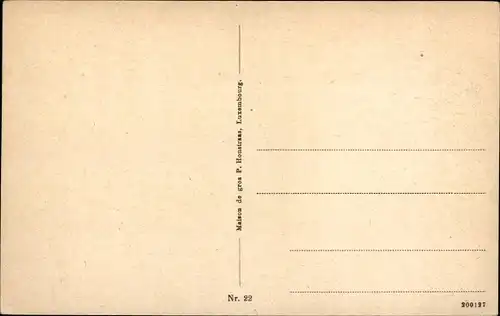 Ak Luxemburg Luxembourg, Teilansicht, Wäscherin