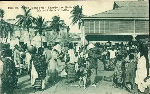 Ak Saint Louis Senegal, Entree des Halles, Marche de la Volaille