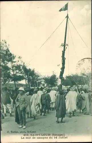 Ak Saint Louis Senegal, Le mat de cocagne du 14 Juillet