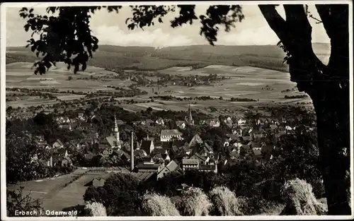 Ak Erbach im Odenwald Hessen, Totalansicht