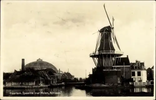 Ak Haarlem Nordholland, Spaarne, Molen Adriaan