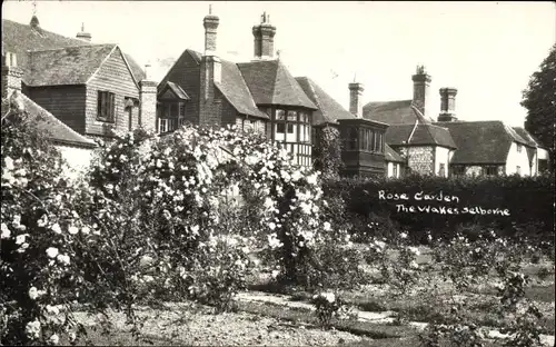 Ak Selborne South East England, Rose Garden
