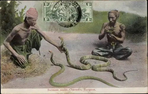 Ak Rangun Rangoon Myanmar, Burmese snake Charmers, Schlangenbeschwörer