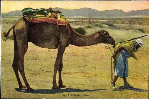 Ak Retour du Desert, Maghreb, Kamel