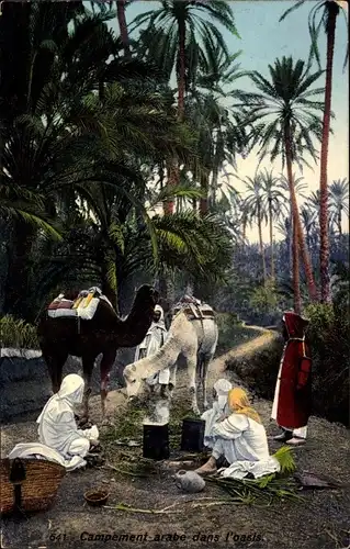 Ak Campement arabe dans l'oasis, Arabisches Lager in einer Oase, Kamele, Lehnert & Landrock