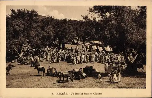 Ak Meknès Marokko, Un Marche dans les Oliviers
