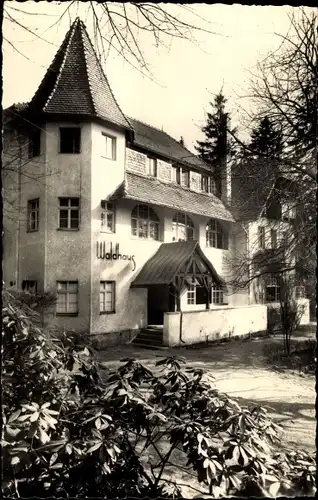 Ak Augustusburg im Erzgebirge, Waldhaus