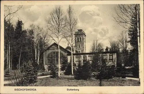 Ak Butterberg Bischofswerda in Sachsen, Aussichtsturm