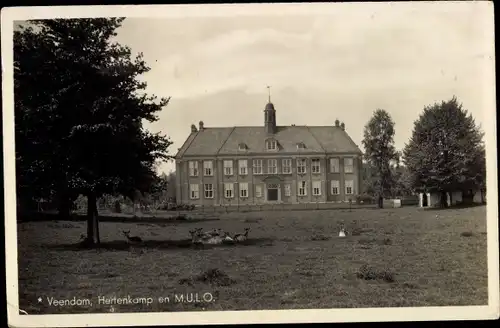 Ak Veendam Groningen Niederlande, Hertenkamp en M. U. L. O.