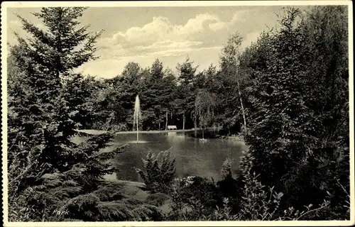 Ak Gütersloh in Westfalen, Park der Provinzialheilanstalt, Springbrunnen