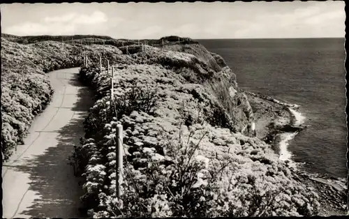 Ak Nordseeinsel Helgoland, Partie auf dem Oberland