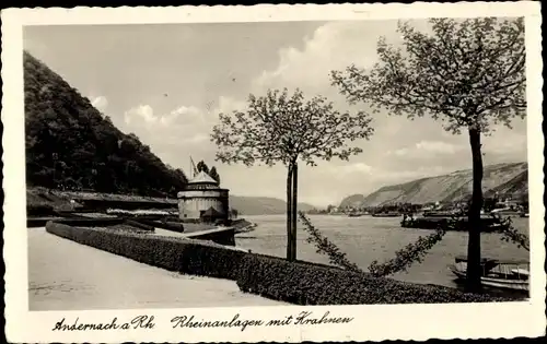 Ak Andernach am Rhein, Rheinanlagen mit Krahnen