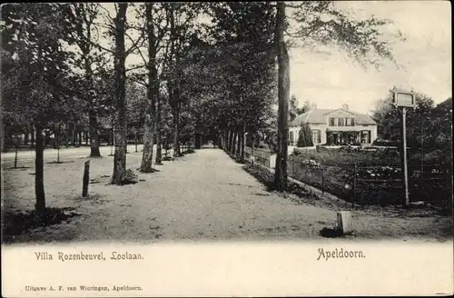 Ak Apeldoorn Gelderland, Villa Rozenbeuvel, Loolaan