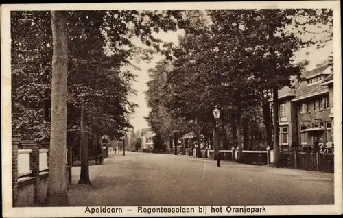 Ak Apeldoorn Gelderland, Regentesselaan bij het Oranjepark