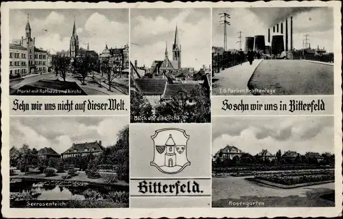 Ak Bitterfeld in Sachsen Anhalt, Markt, Rathaus, Rosengarten, I. G. Farben Kraftanlage