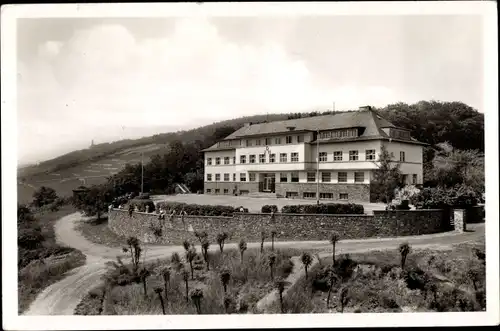 Ak Rüdesheim am Rhein, Jugendherberge