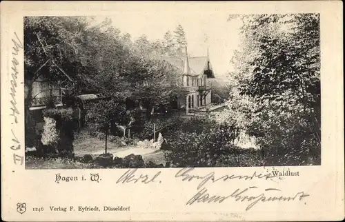 Ak Hagen in Westfalen, Waldlust