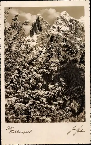 Ak Mittenwald in Oberbayern, Panorama, Berge