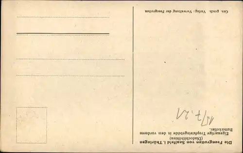 Ak Saalfeld an der Saale Thüringen, Feengrotten, Tropfsteingebilde, Diadochithöhlen