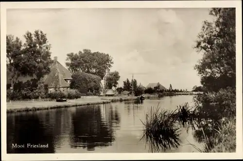 Ak Stiens Friesland Niederlande, Teilansicht