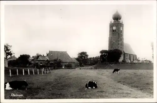 Ak Deinum Friesland Niederlande, Kirche, Kühe weiden